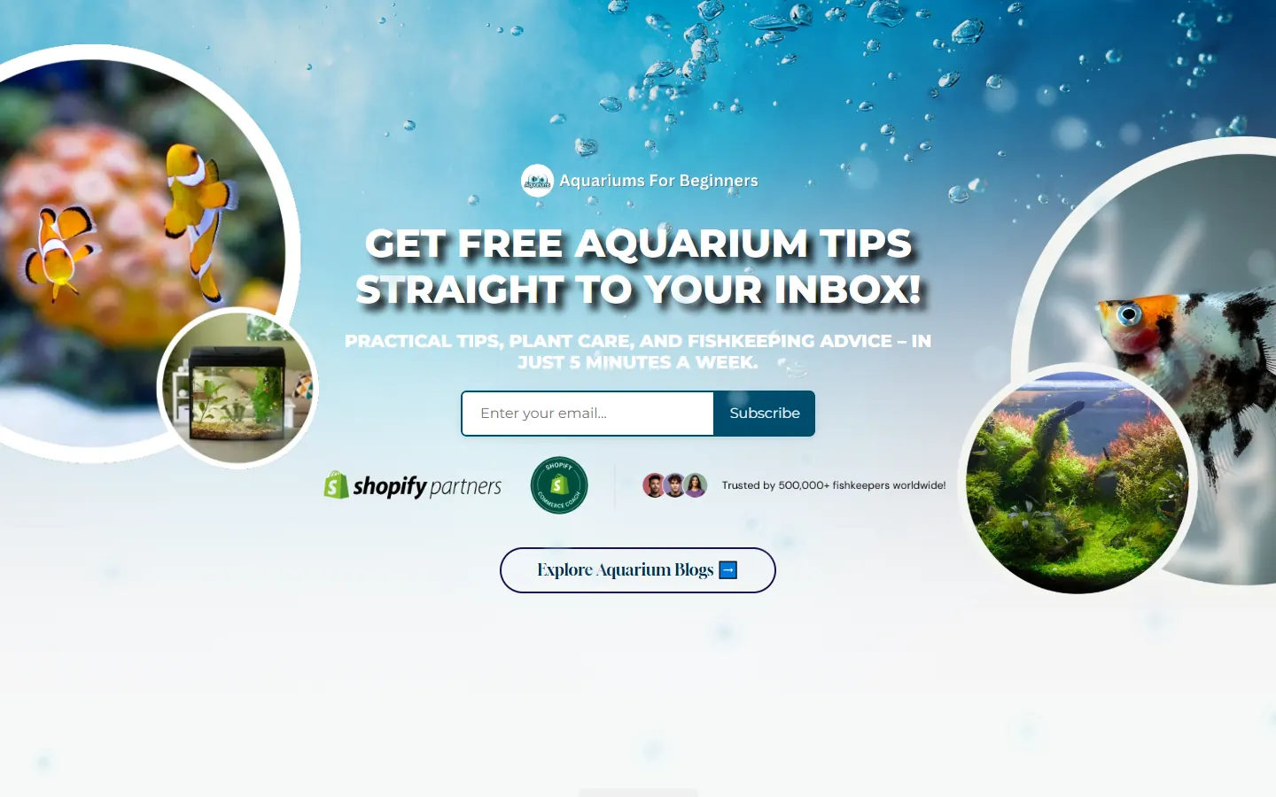 Aquariums For Beginners homepage